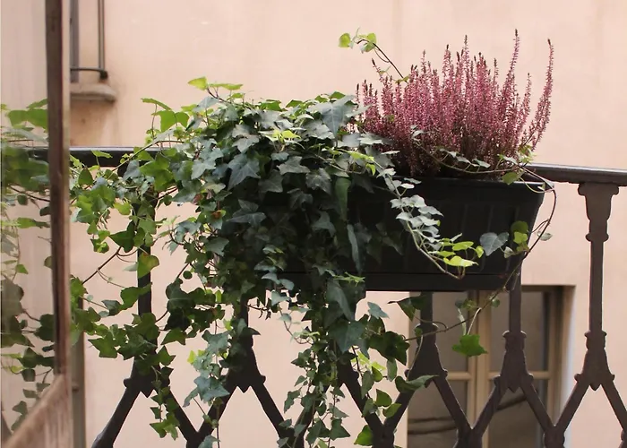 Centro Storico Turin