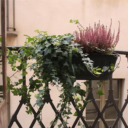 Centro Storico Turin